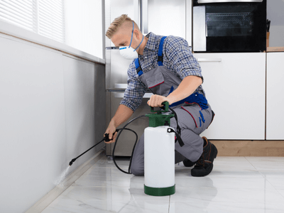 About MMTP Chandler - monthly mosquito treatment plans experts in Chandler